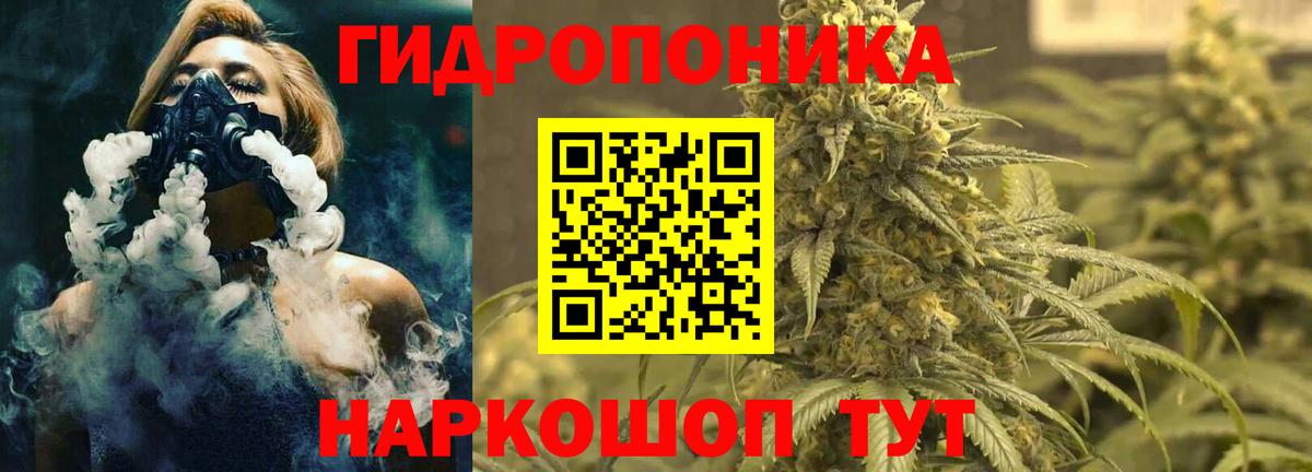 Бошки марихуана семена  Бошки марихуана семена  Марихуана AK-47  Вход с VPN  Юрга  Шишки марихуана марихуана 